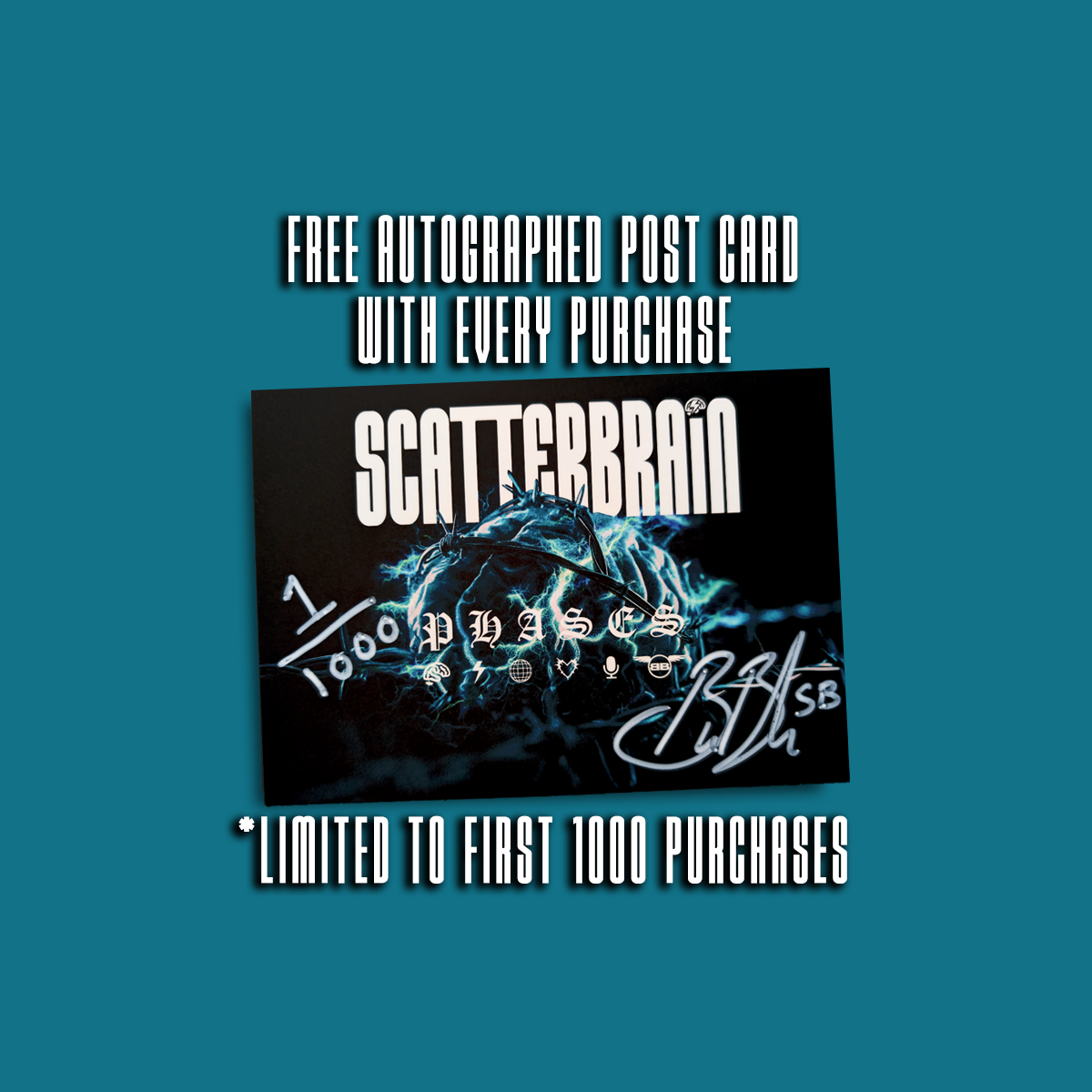 Complete Scatterbrain SCATTERBRAIN